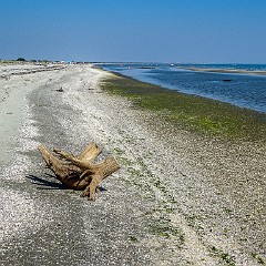 Po di Maistra, Porto Tolle, RO (30)